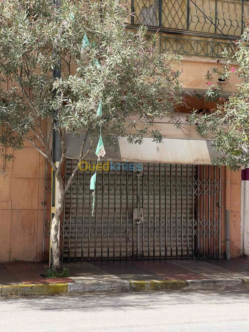 Vente Villa Sétif Ain azel