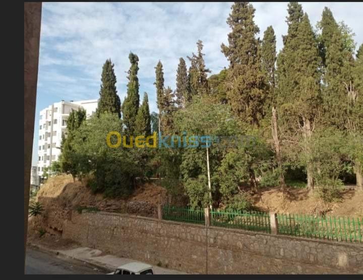 Vente Villa Tlemcen Tlemcen