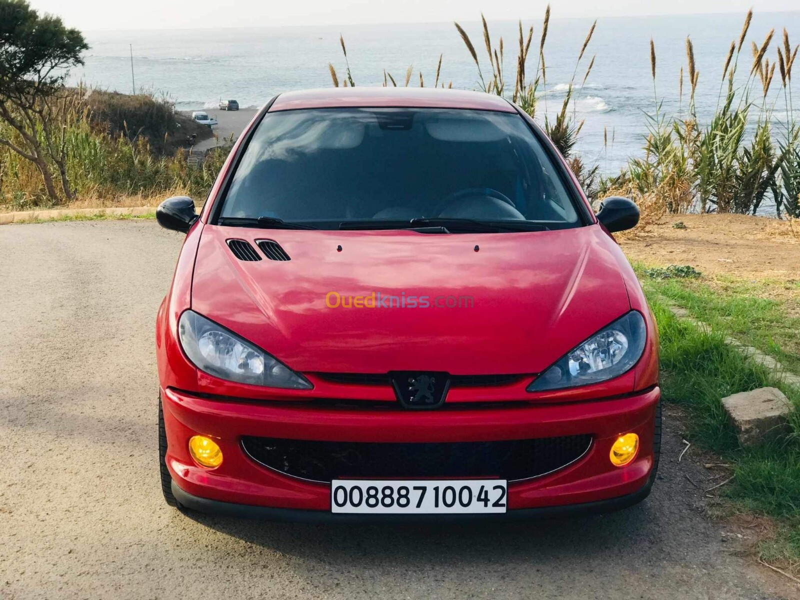 Peugeot 206 2000 206