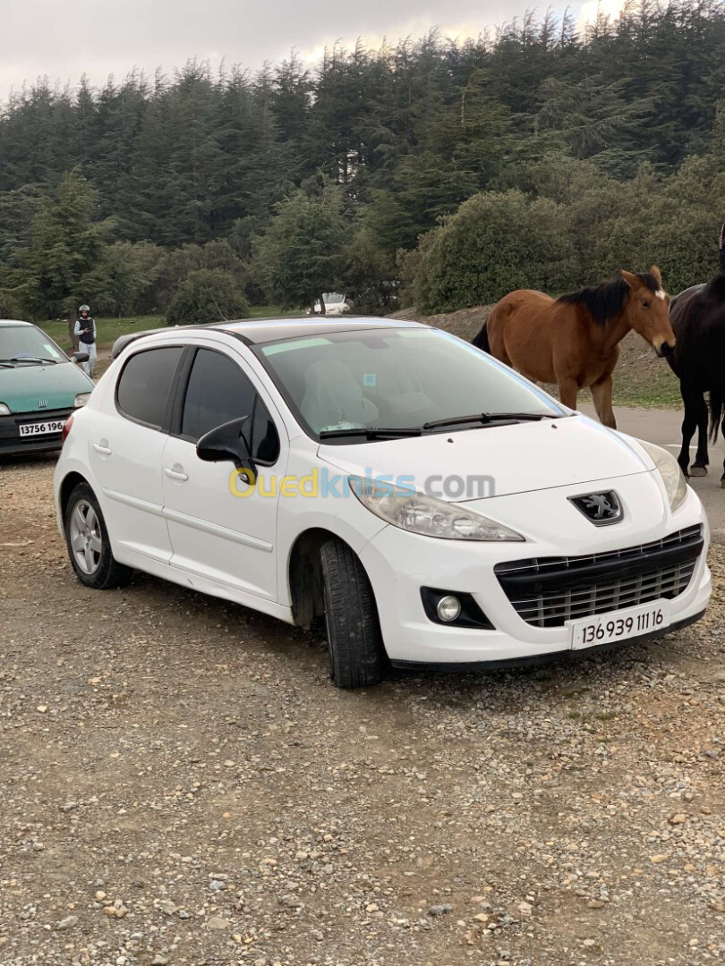 Peugeot 207 2011 Fennec