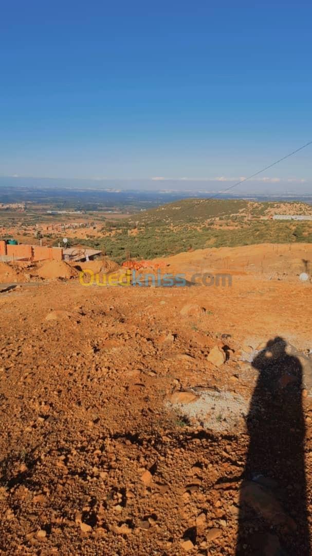 Vente Terrain Blida Ain romana