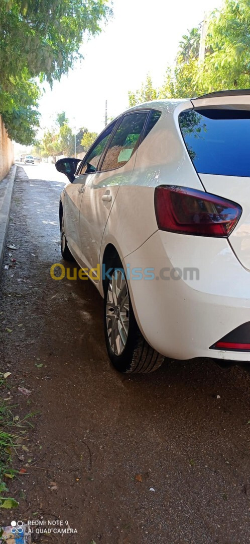 Seat Ibiza 2012 Ibiza