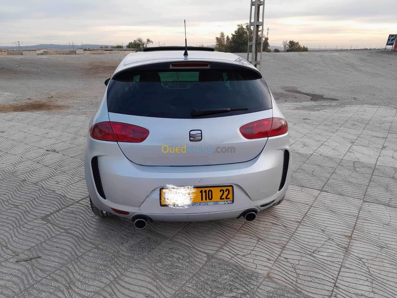 Seat Leon 2010 