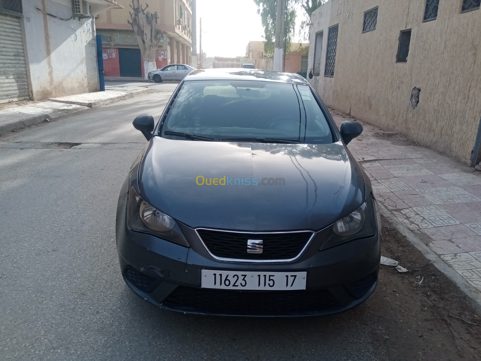 Seat Ibiza 2015 Ibiza