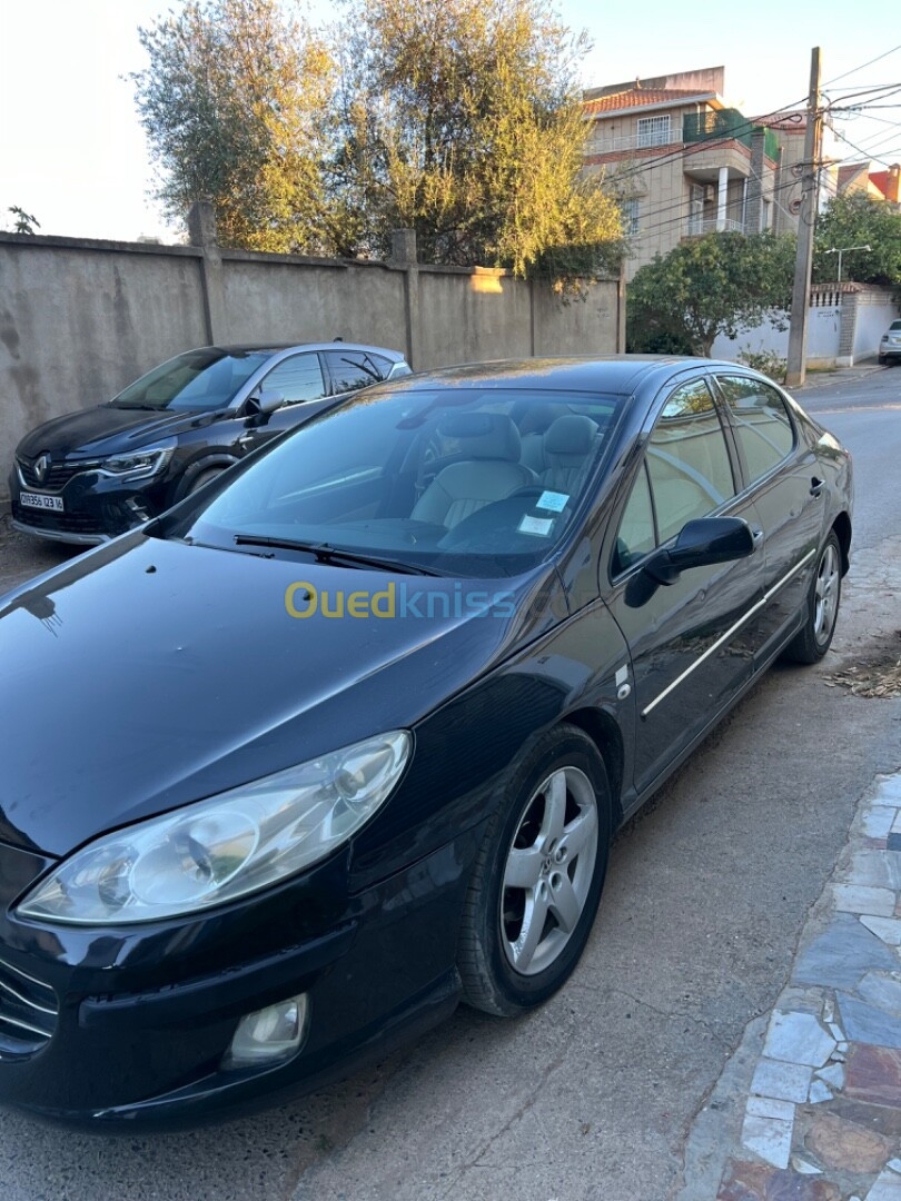 Peugeot 407 2007 407