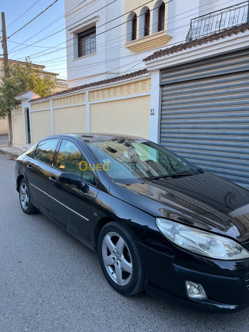 Peugeot 407 2007 407