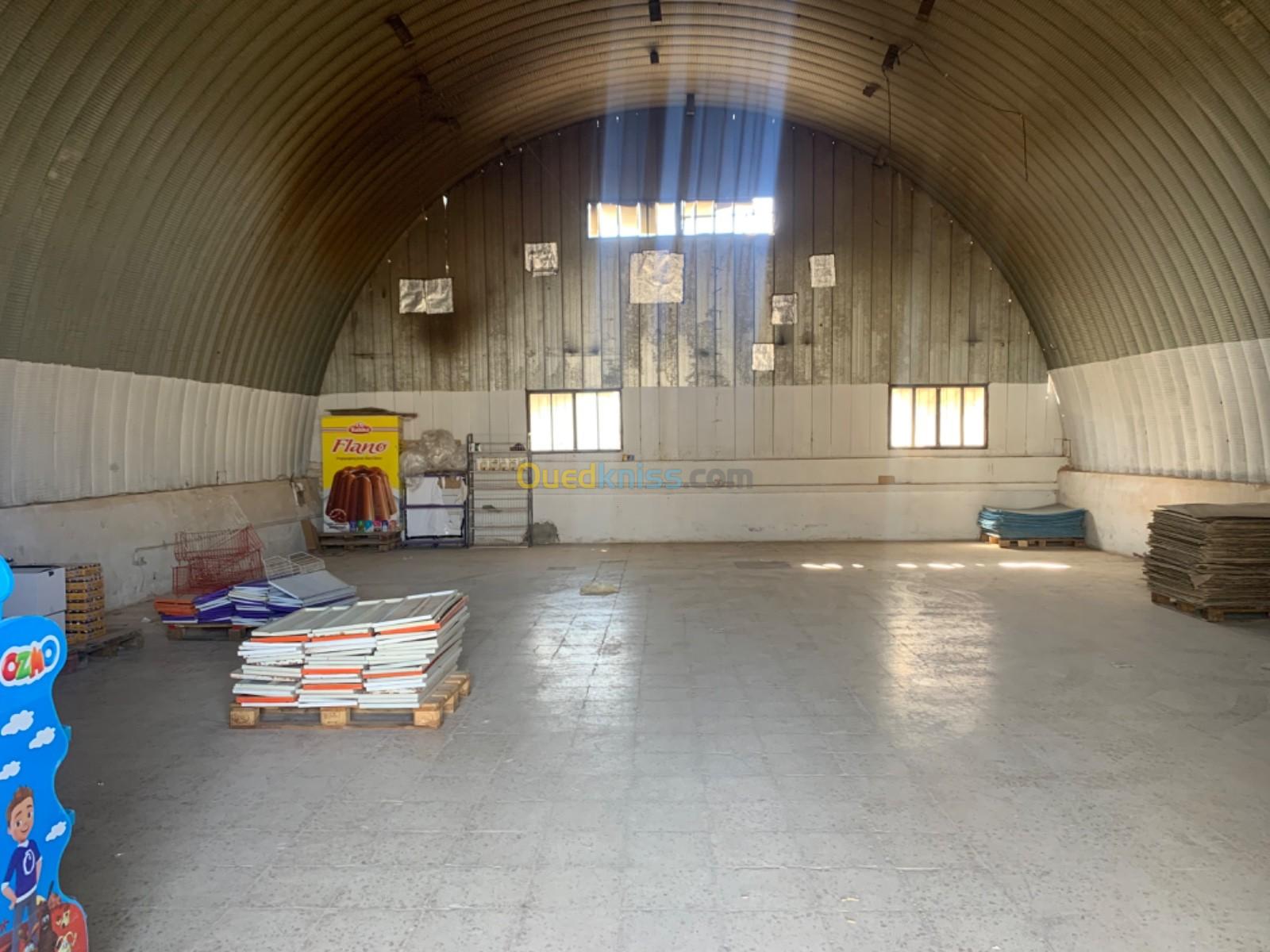 Location Hangar Tiaret Tiaret