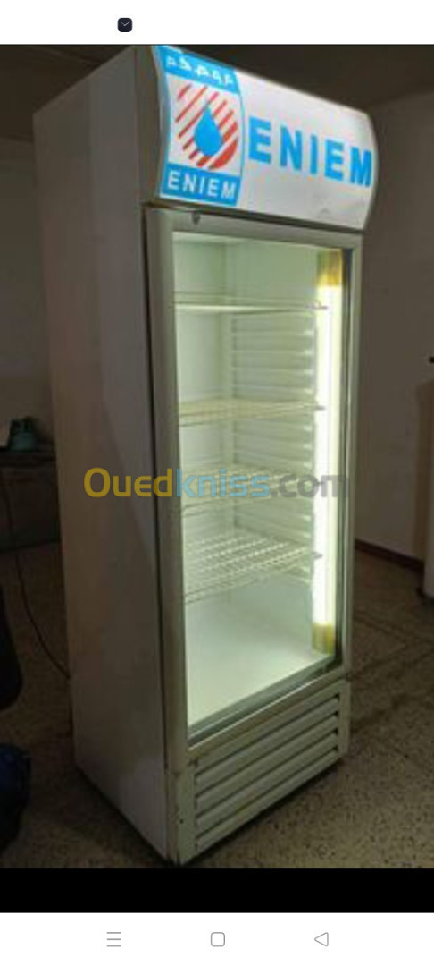 Frigo Eniem 