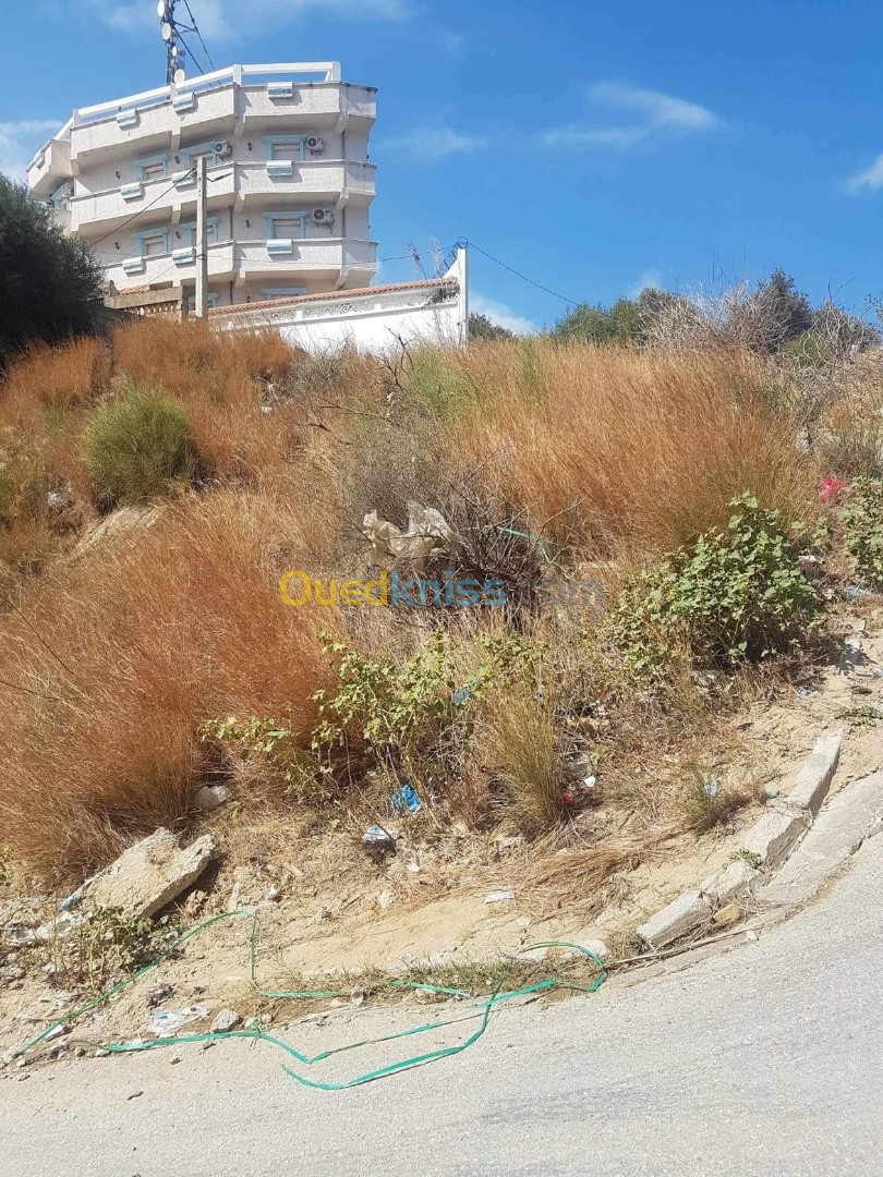 Vente Terrain Annaba Annaba