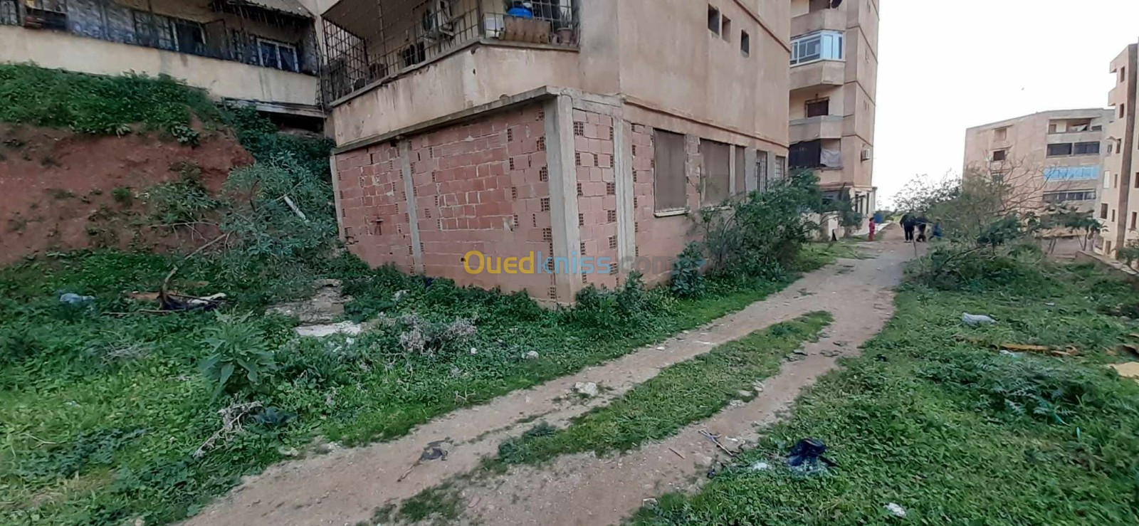 Vente Appartement Alger Rais hamidou