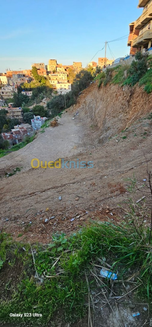 Vente Terrain Alger Rais hamidou