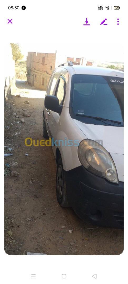 Renault Kangoo 2009 3