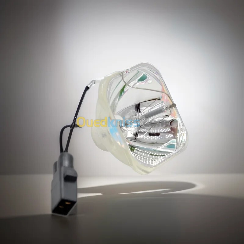 LAMPE DATA SHOW EPSON ACER BENQ OPTOMA SONY SANYO PANASONIC VIEWSONIC 