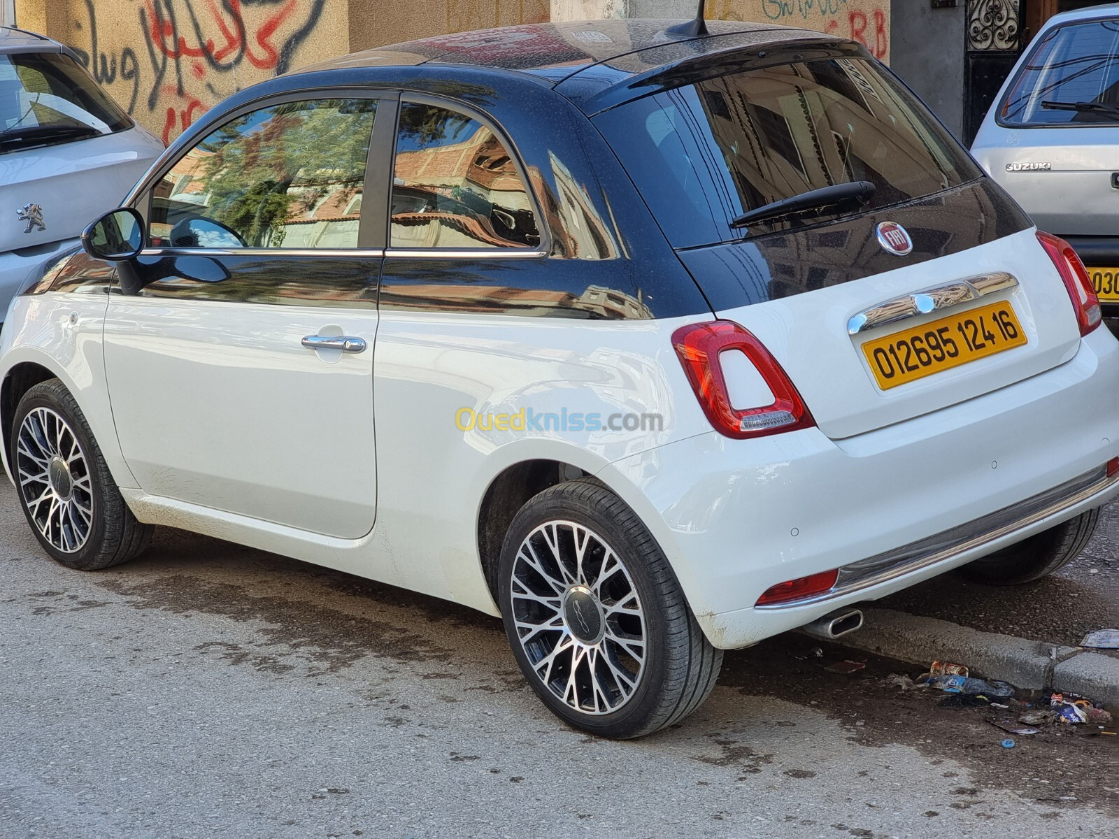 Fiat Fiat 500 2024 Dochivita