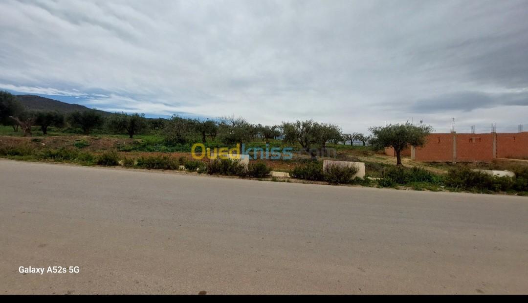 Vente Terrain Tlemcen Chetouane