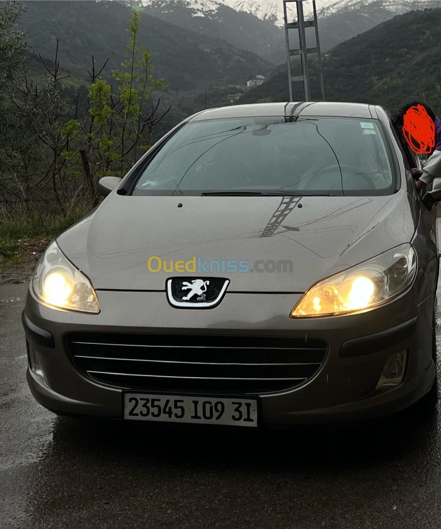 Peugeot 407 2009 407