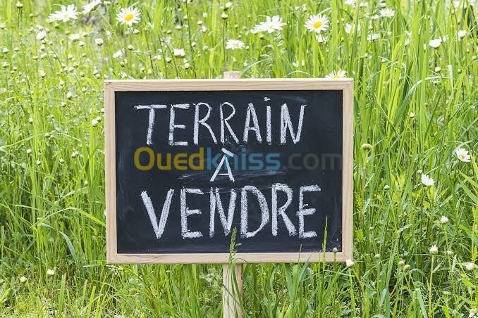 Vente Terrain Alger Cheraga