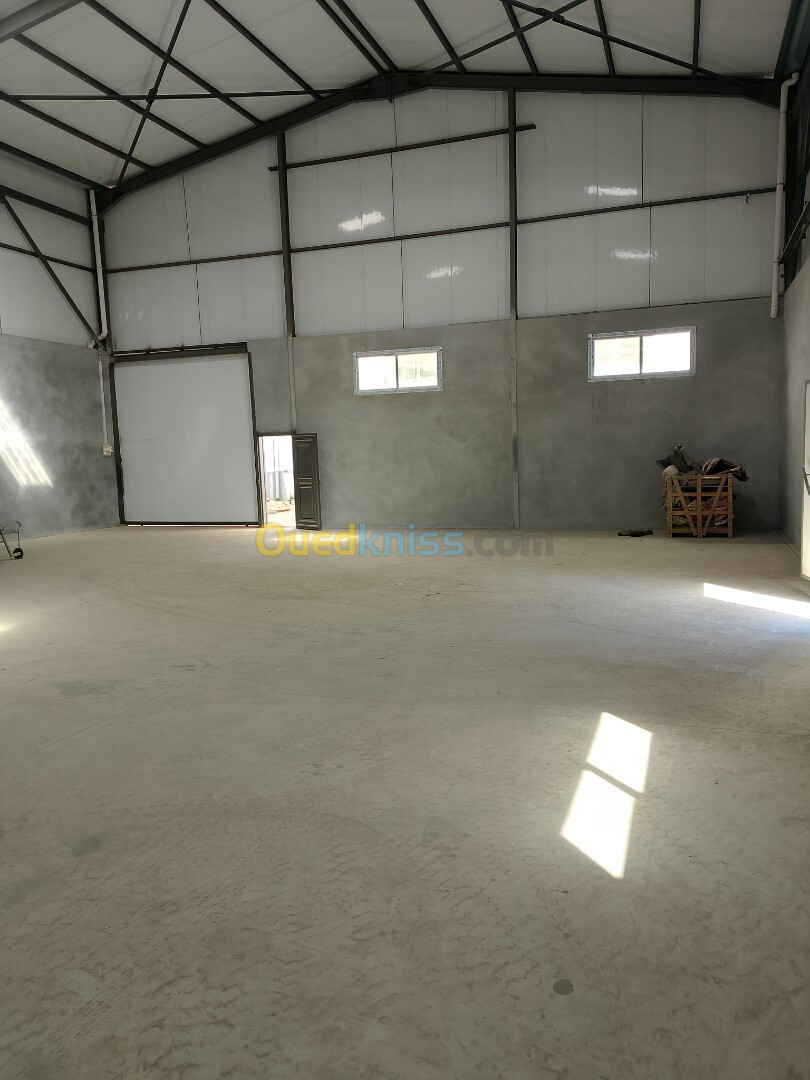 Location Hangar Alger Cheraga