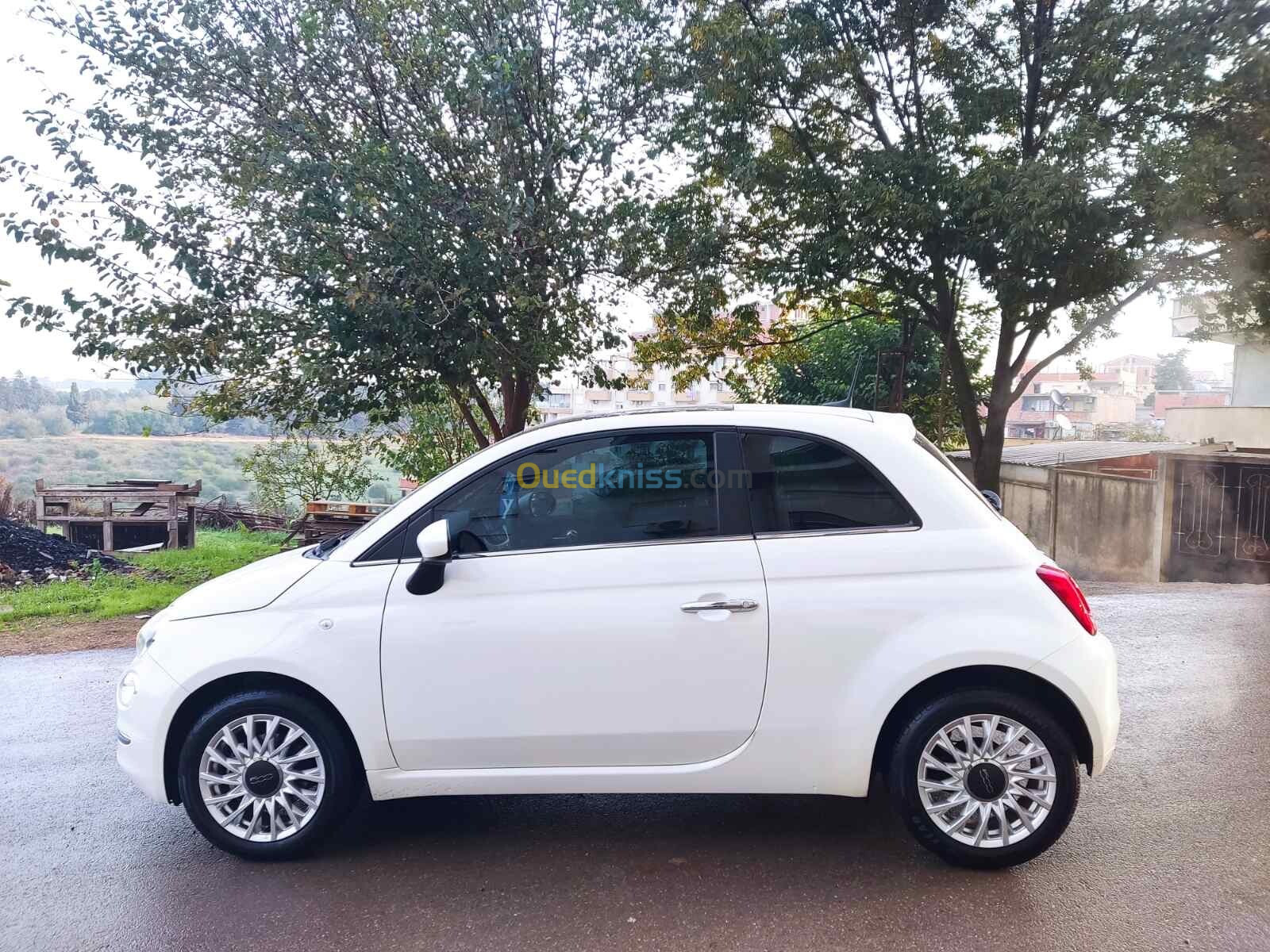 Fiat 500 2024 Club