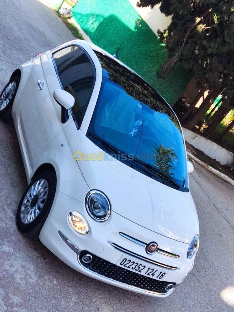 Fiat 500 2024 club