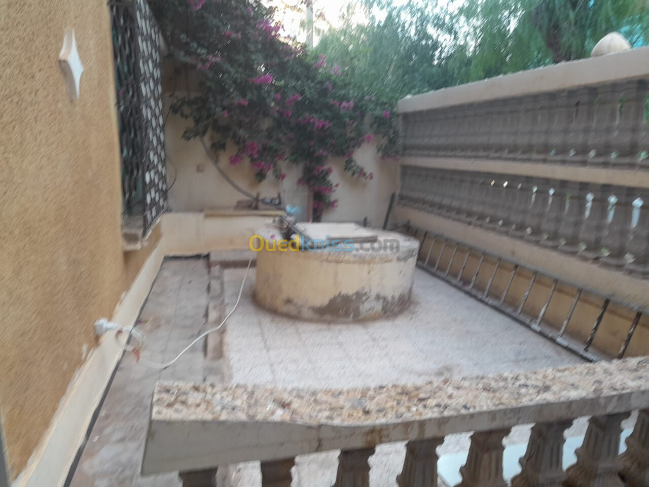 Vente Villa Tlemcen Marsa ben mhidi