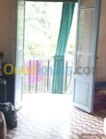 Vente Appartement F3 Alger Belouizdad