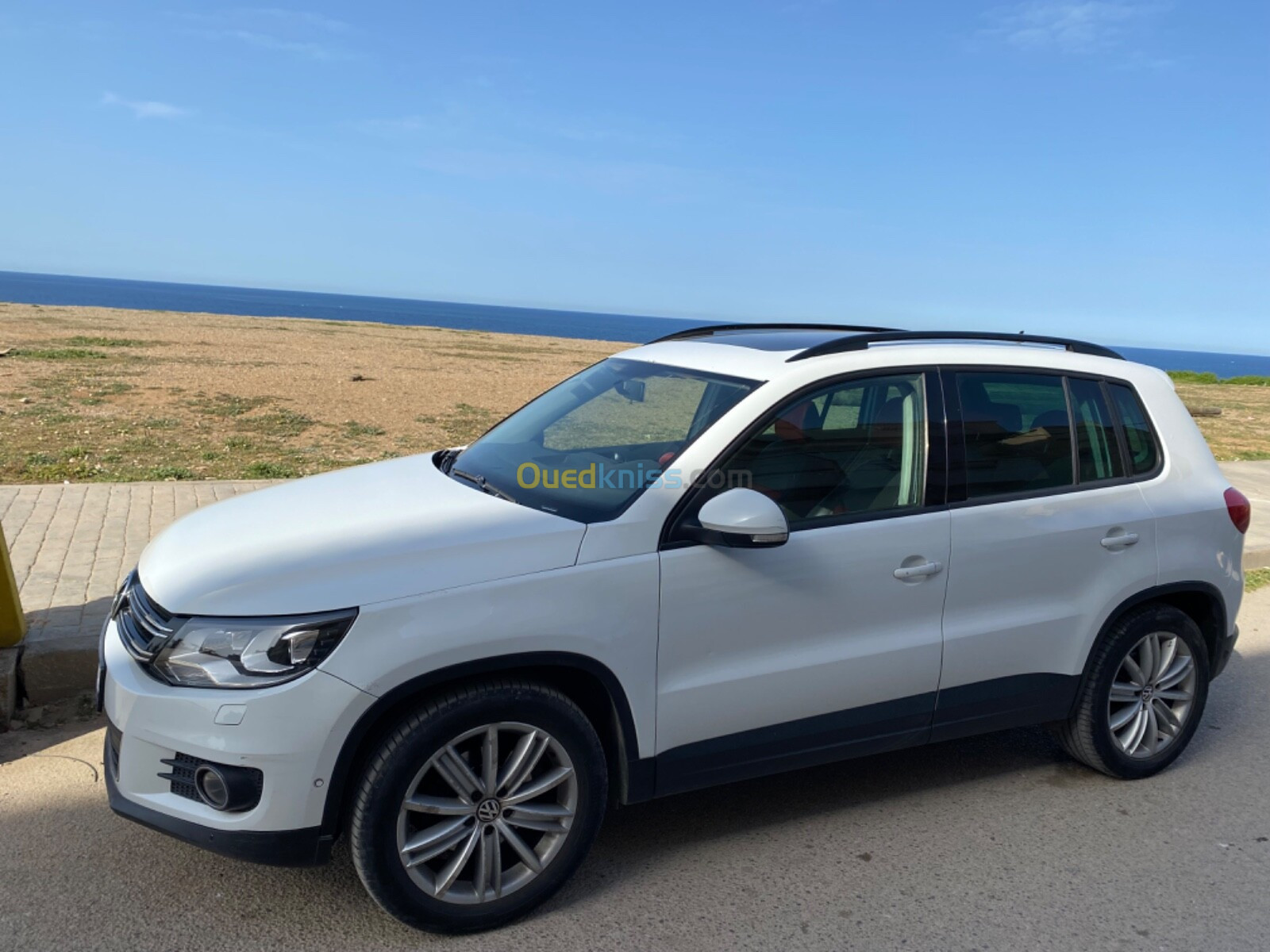 Volkswagen Tiguan 2015 Cup