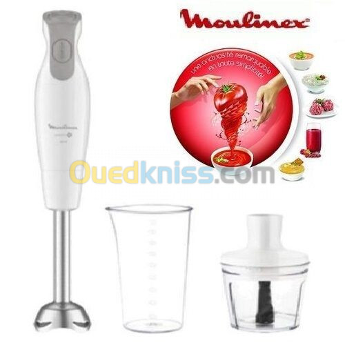 MIXEUR A BRAS MOULINEX DAILY CHEF + 2 ACCESSOIRES - DD552110- 600W