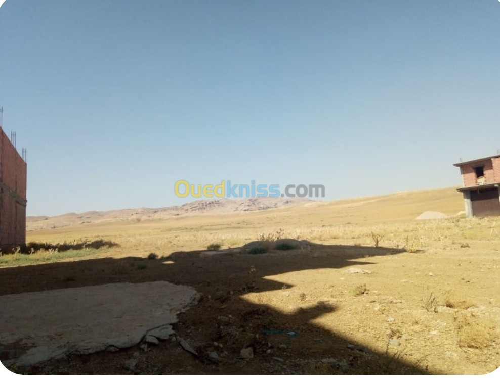 Vente Terrain Médéa Ksar boukhari