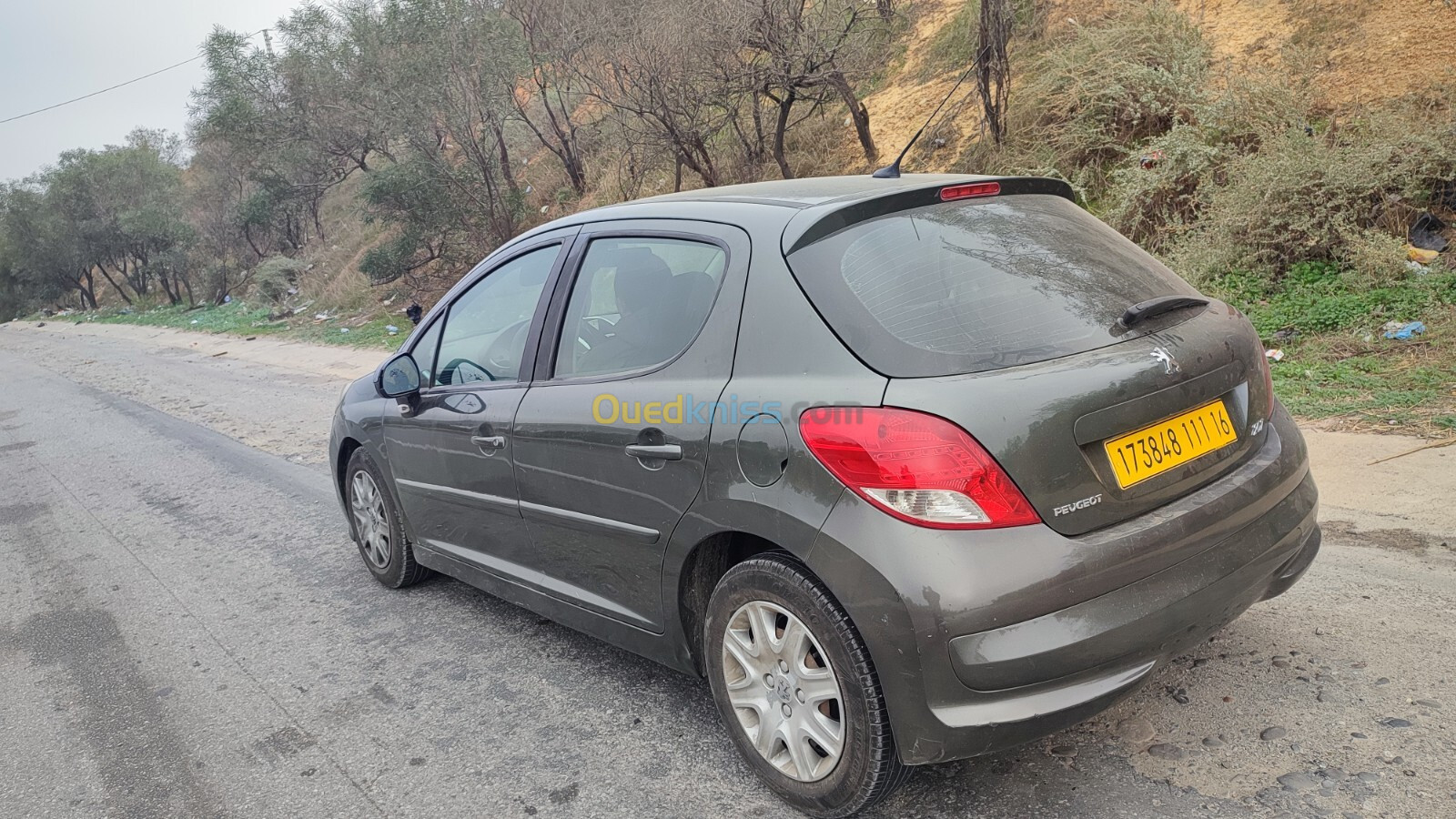 Peugeot 207 2011 Active