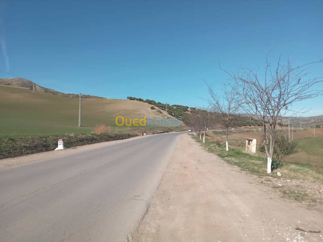 Vente Terrain Sétif Hammam guergour