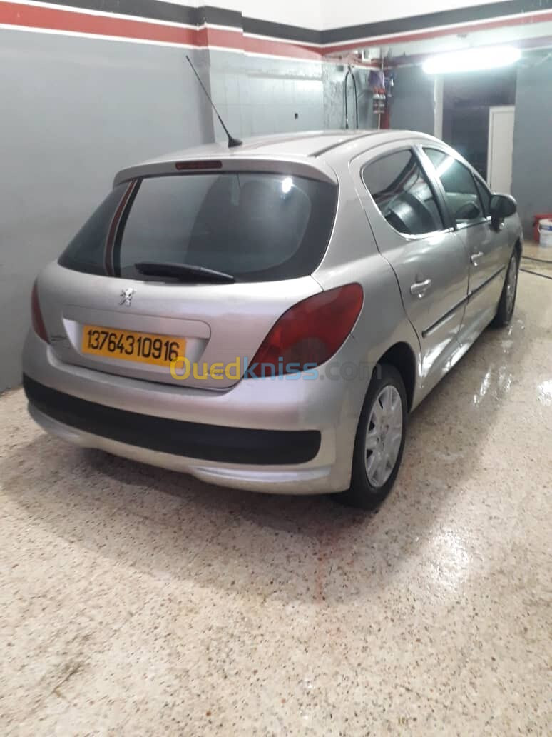 Peugeot 207 2009 207