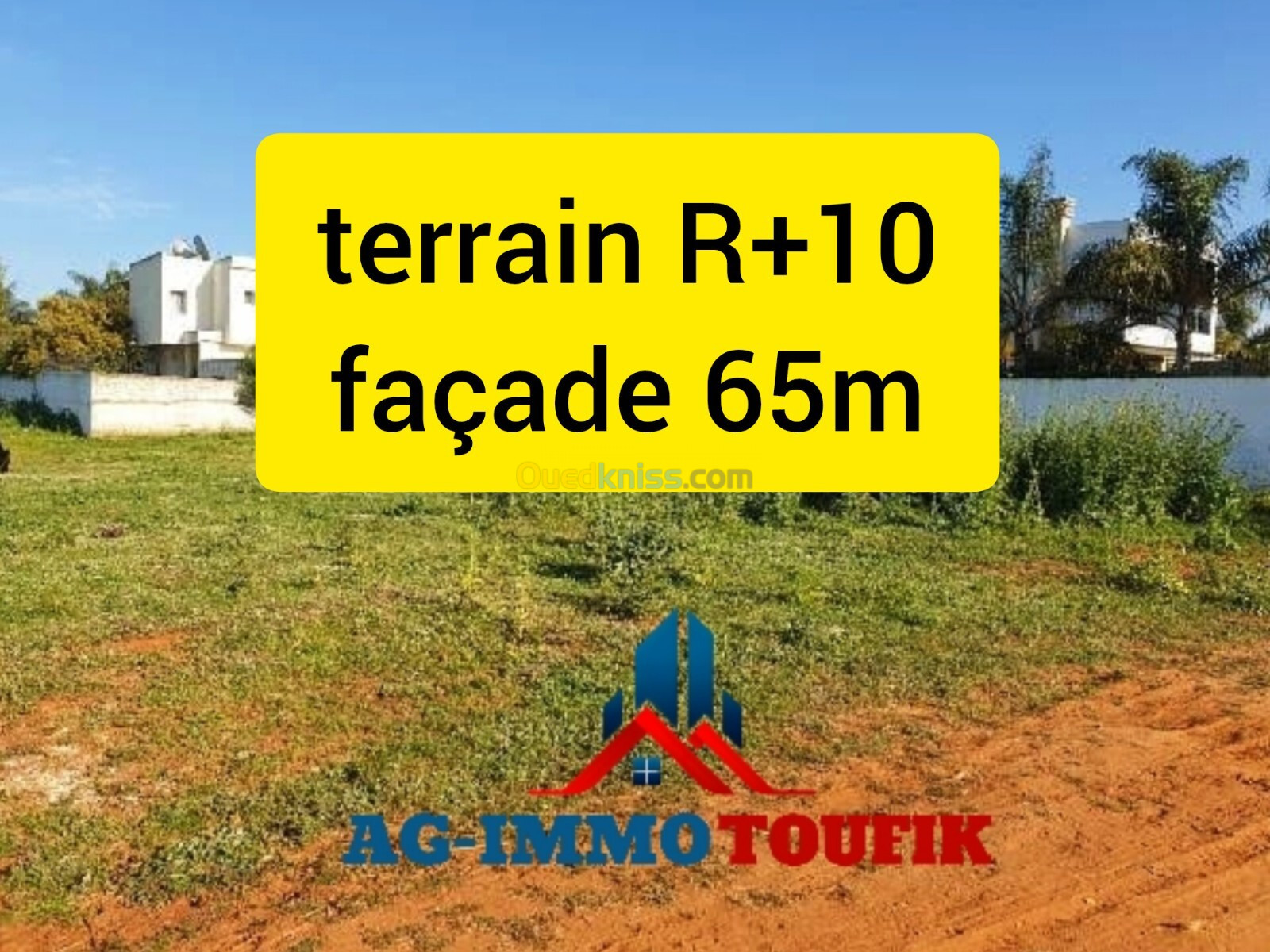 Vente Terrain Alger Souidania