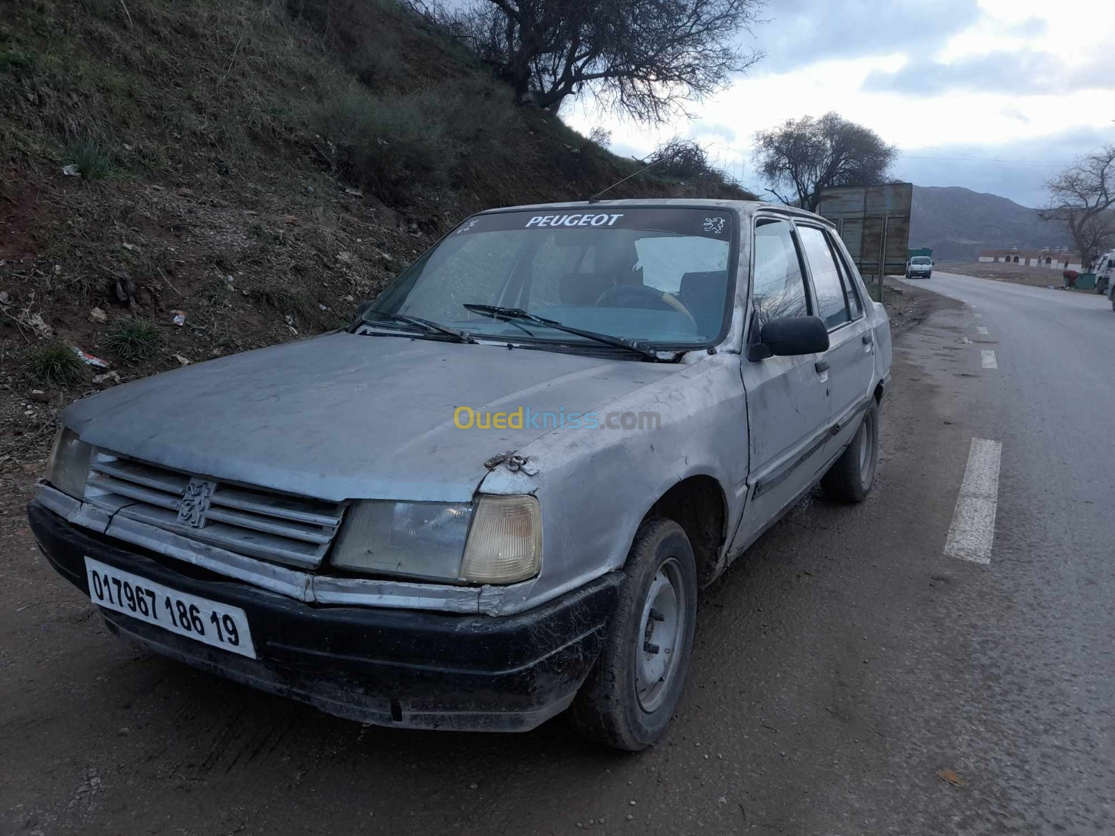 Peugeot 309 1986 309