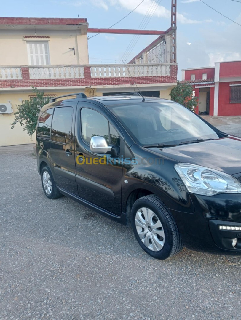 Citroen Berlingo 2019 Berlingo