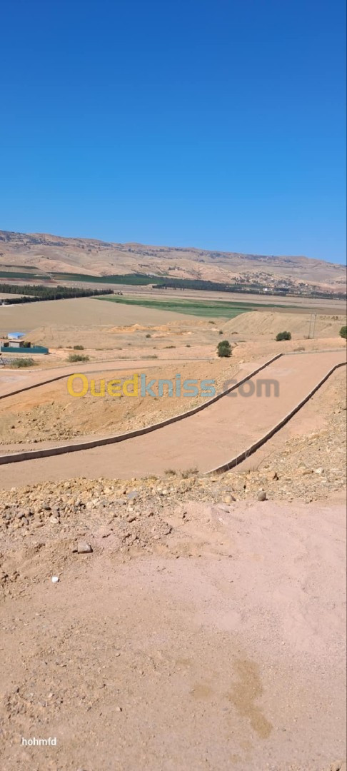 Vente Terrain Chlef Chlef