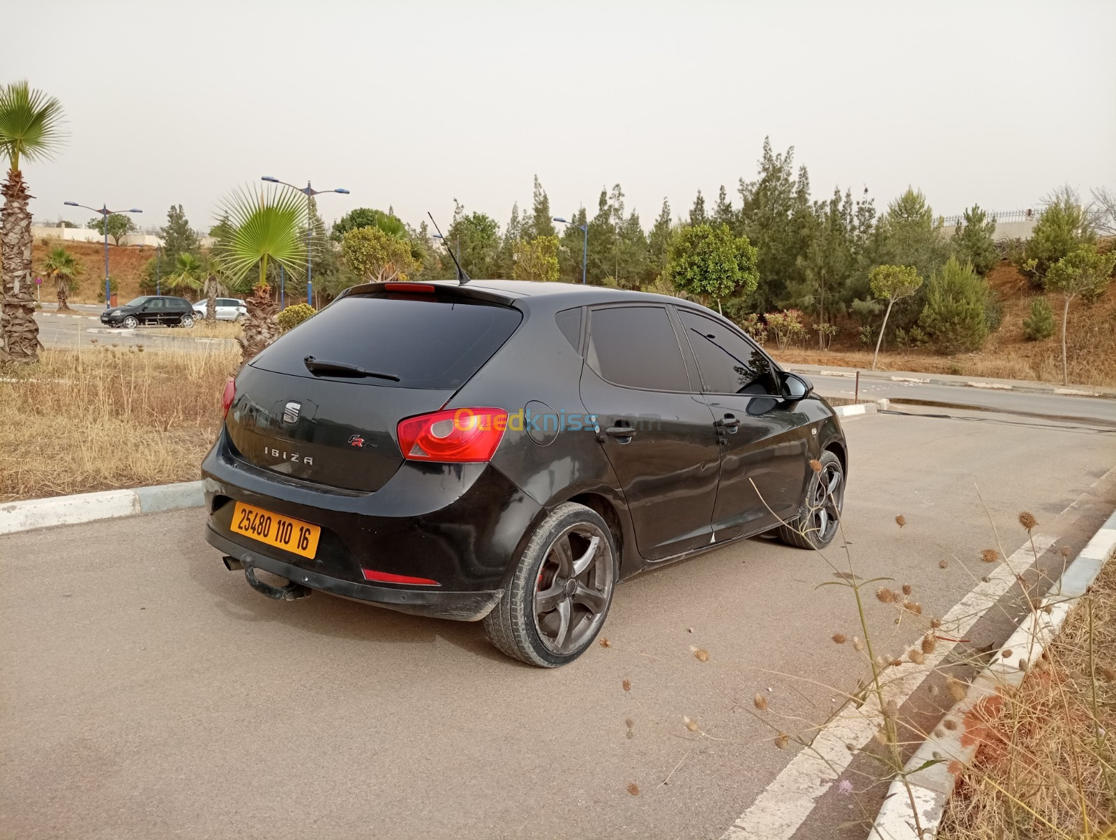 Seat Ibiza 2010 Fr