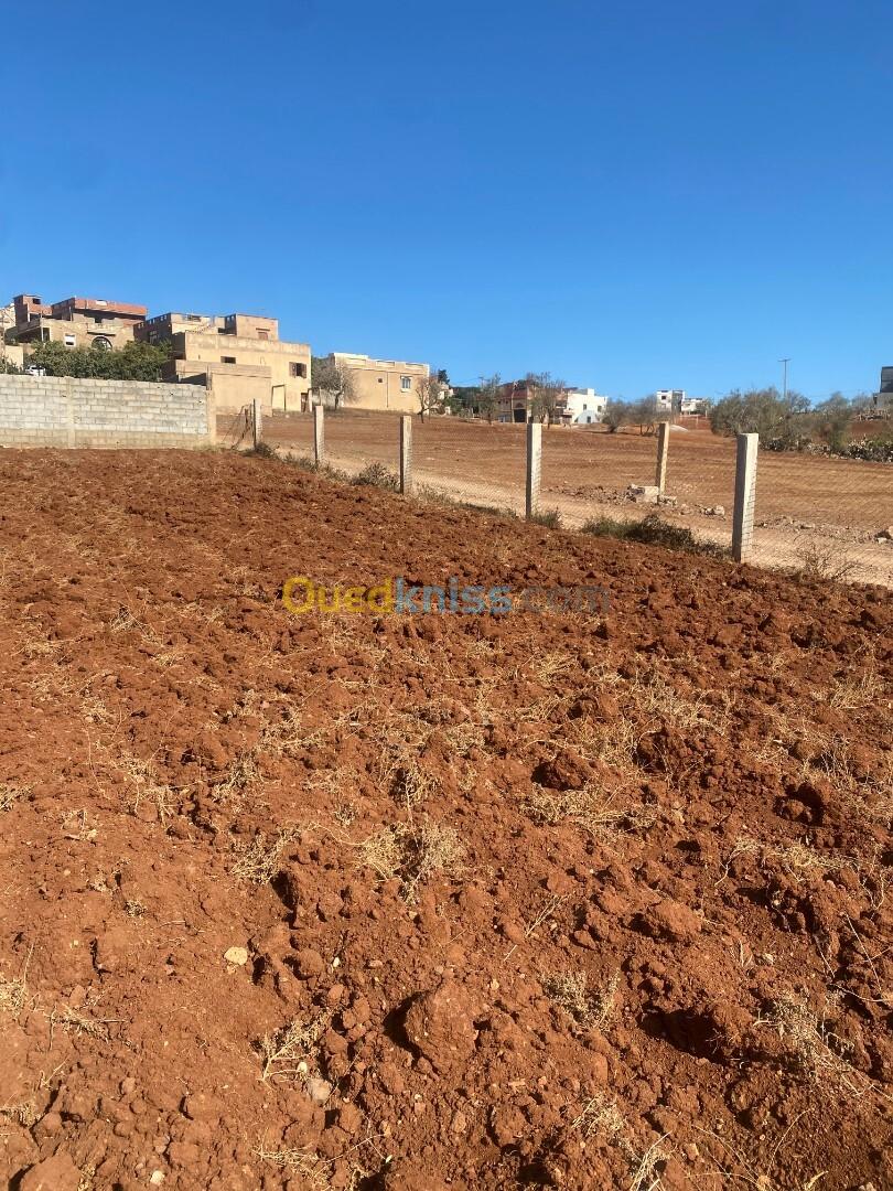 Vente Terrain Tlemcen Dar yaghmouracene