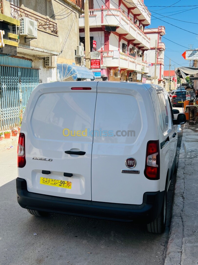 Fiat Professional Doblo 2024 Doblo