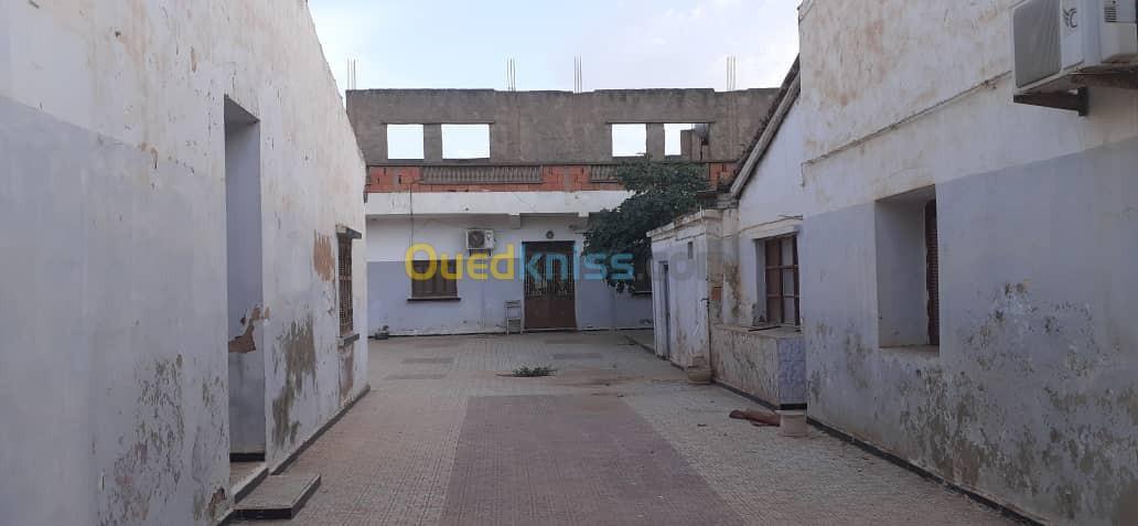 Vente Niveau De Villa F8 Mostaganem Ain nouissi