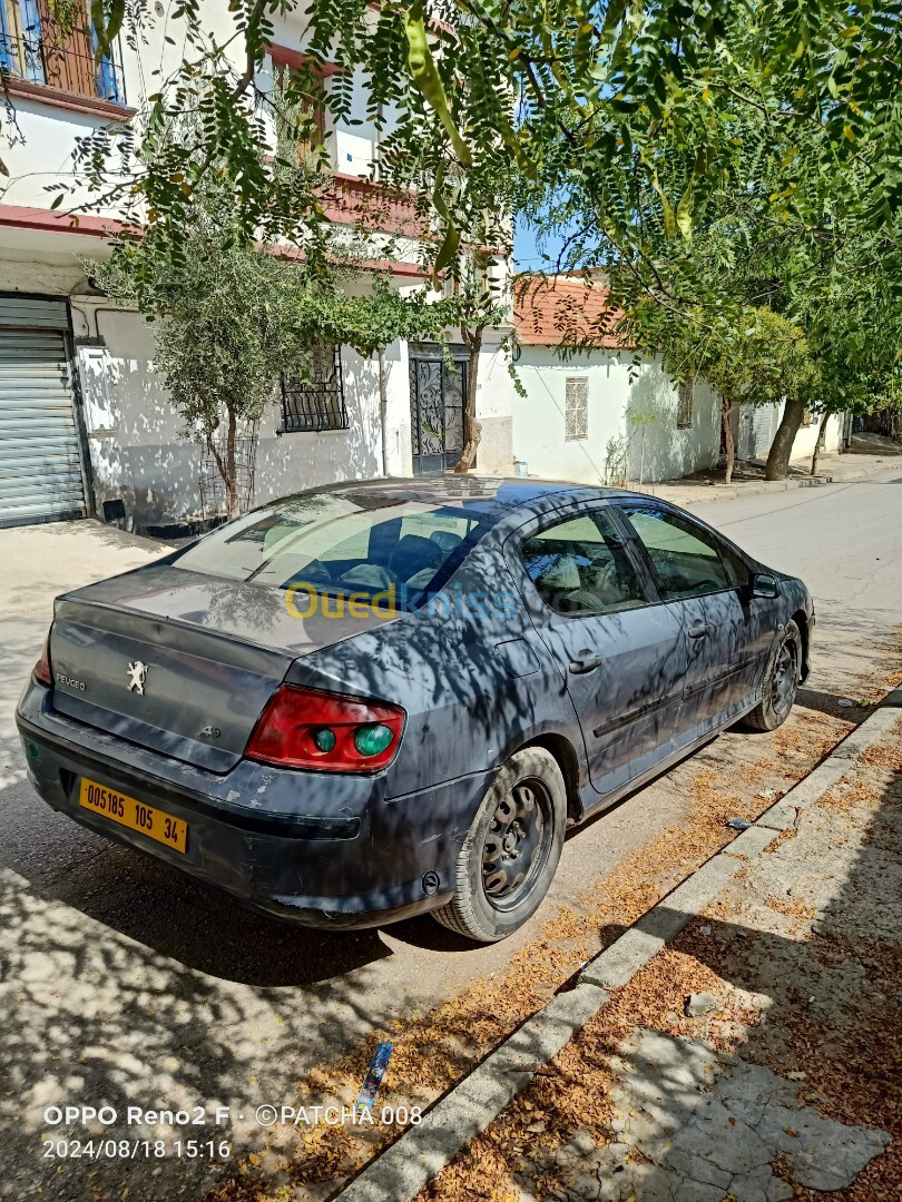 Peugeot 407 2005 407