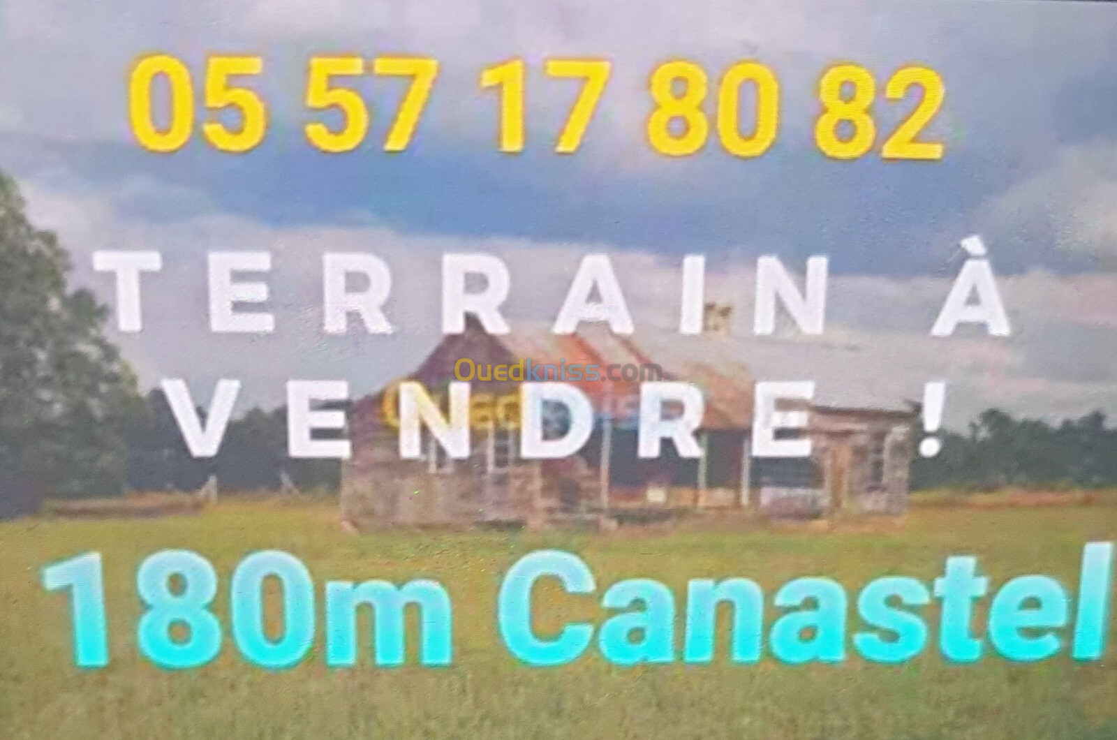 Vente Terrain Oran Bir el djir