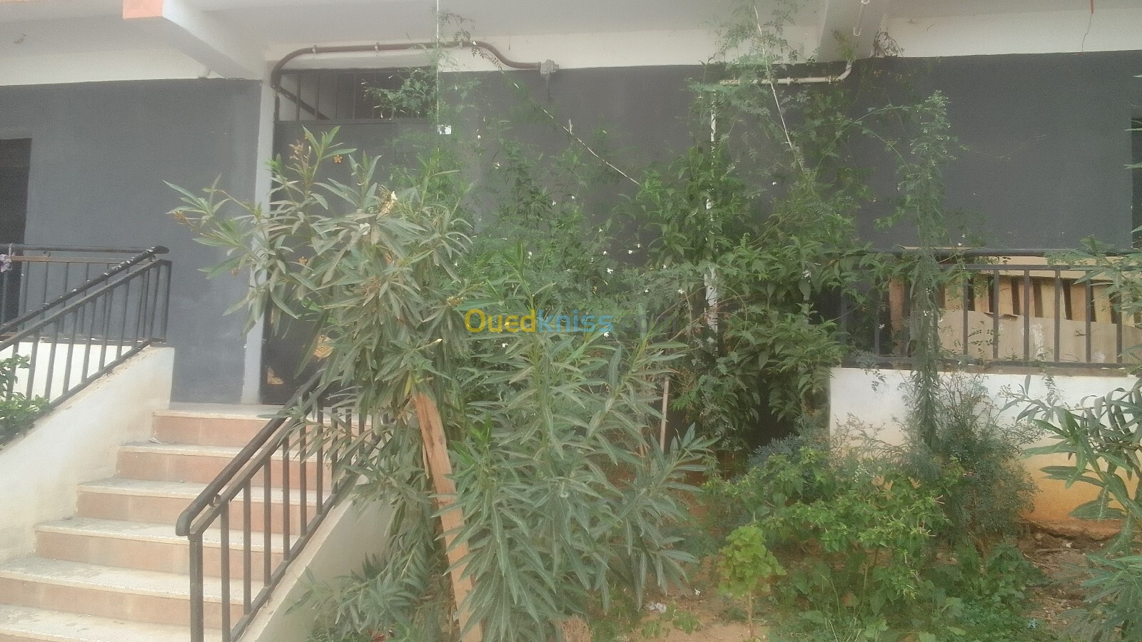 Vente Appartement F3 Tipaza Hadjout