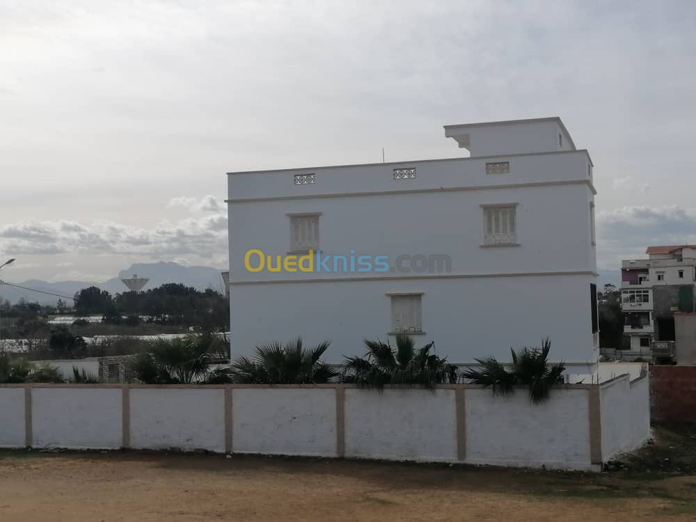 Vente Villa Alger Reghaia