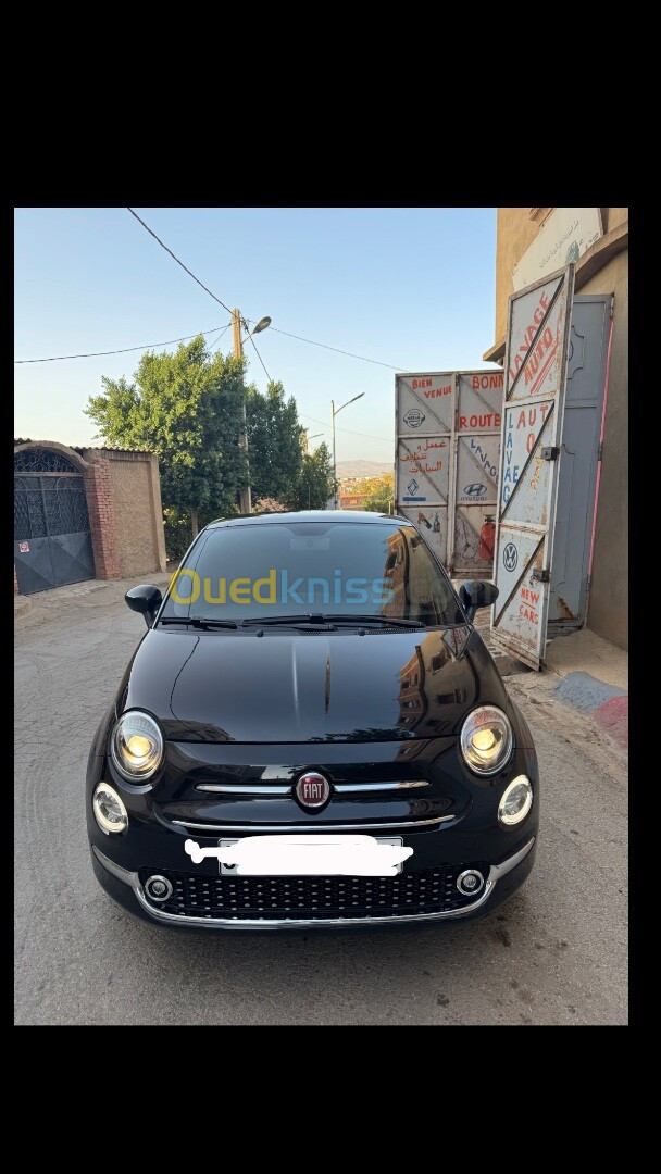 Fiat 500 2024 Haybred