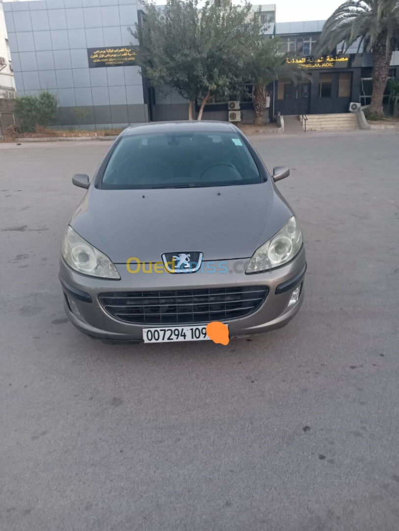 Peugeot 407 2009 407