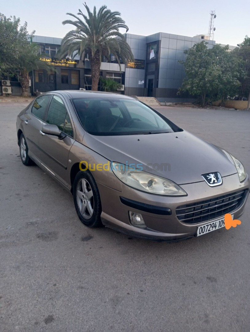 Peugeot 407 2009 407