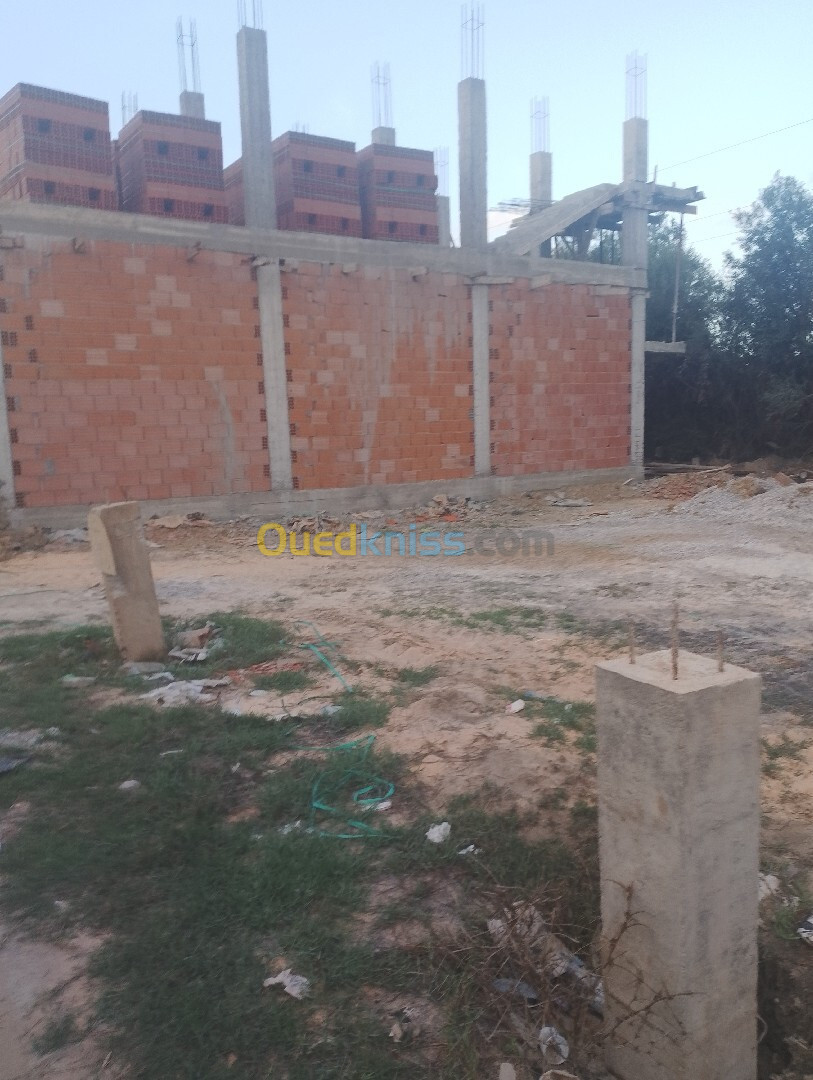 Vente Terrain Blida Chebli