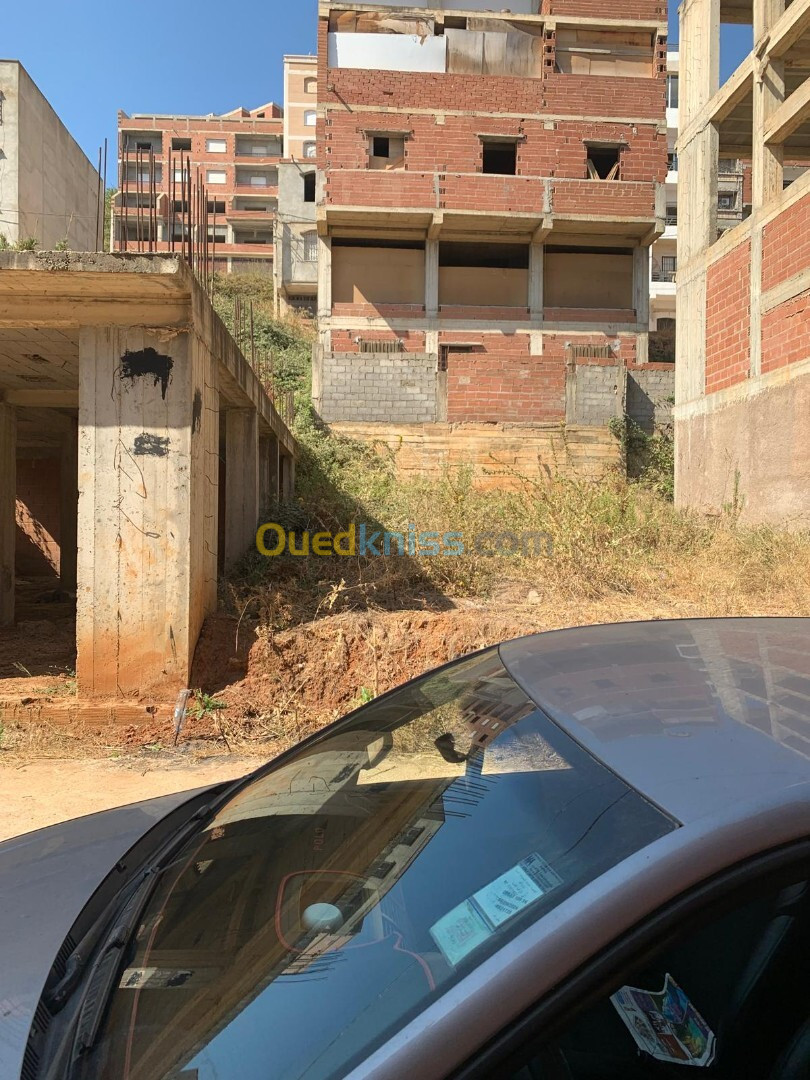 Vente Terrain Alger Saoula