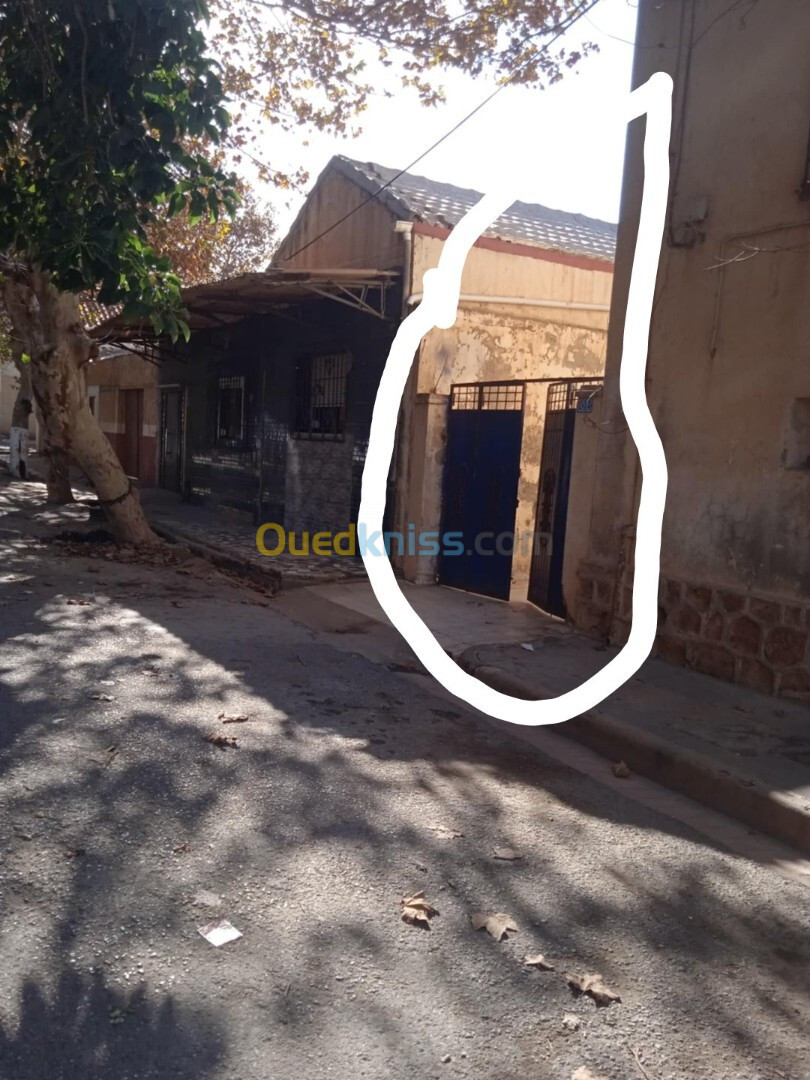 Vente Villa Tipaza Bou ismail